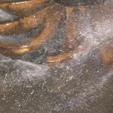 Mulino Acqua Preci_0172