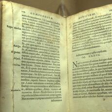 Abbazia S.Eutizio Museo_0078