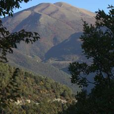 IMG_9581