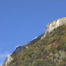 IMG_9910