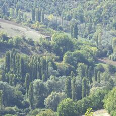 Val Castoriana_0004