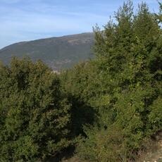 Val Castoriana_0032