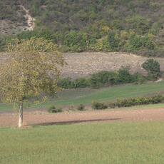 Val Castoriana_0046