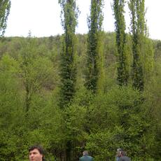 DSCF3632