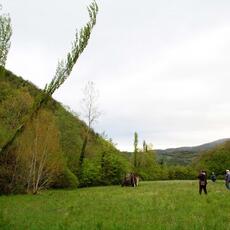 IMG_5752