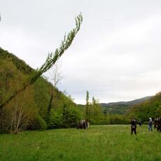 IMG_5753