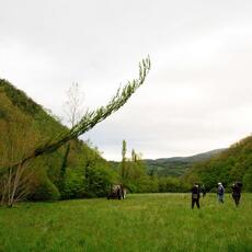 IMG_5754