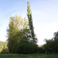 IMG_9205