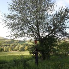 IMG_9226
