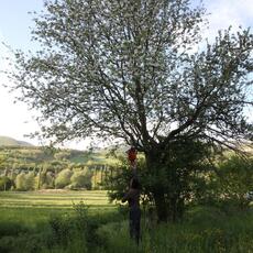 IMG_9227