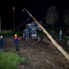 IMG_5942