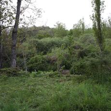 IMG_1776