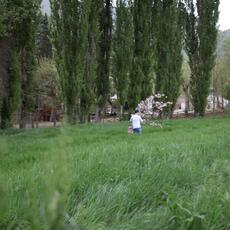 IMG_1791
