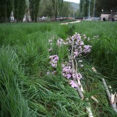IMG_1820