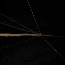 IMG_7707