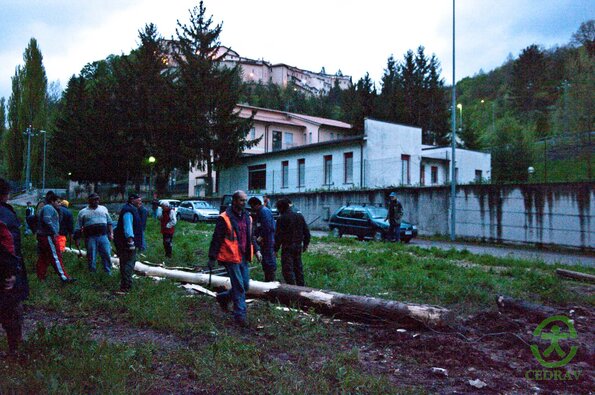 IMGP6381