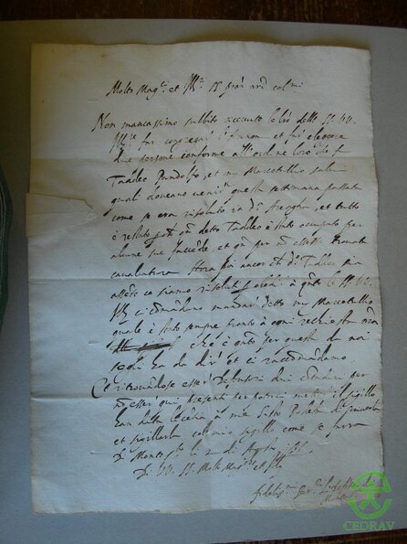 DSCN1873