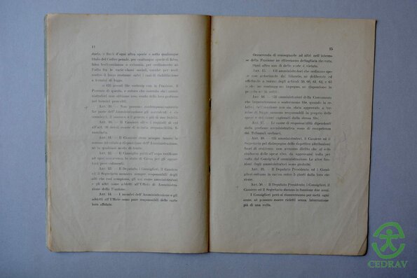 Statuto ComAgr Castelluccio 1895 10-001