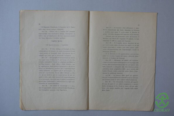 Statuto ComAgr Castelluccio 1895 11