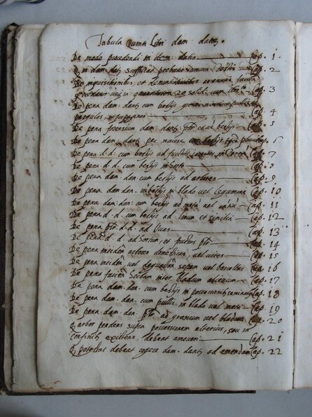 PAG. 009