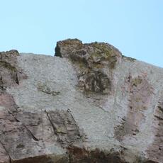 IMG_2952