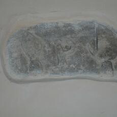 DSCN2466