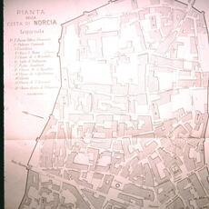 Norcia Pianta