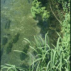 fiume nera1