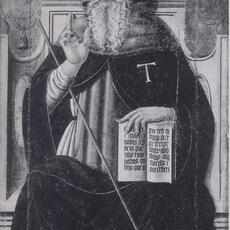 Porco Amelia