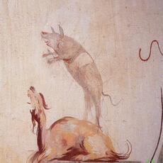 Porco Castiglione