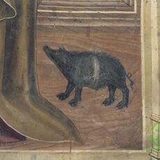 porco Assisi