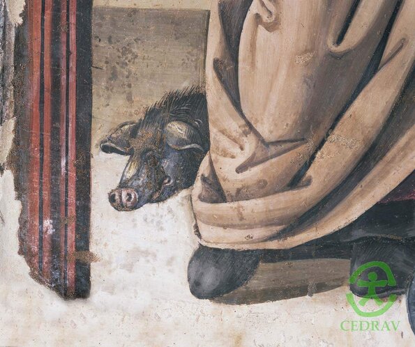 porco Norcia