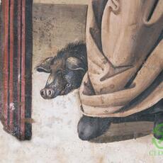 porco Norcia