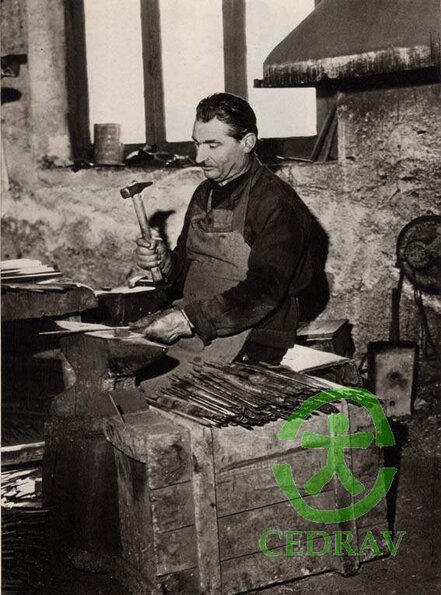 Foto rasparo Papuli1p
