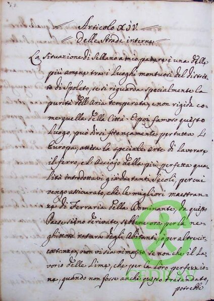 Lime Torretti1