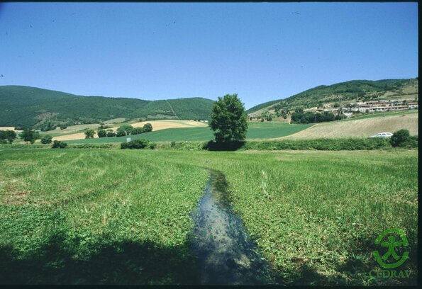 Norcia Marcite1