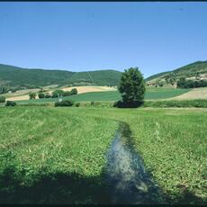 Norcia Marcite1