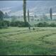 MARCITE DI NORCIA 2000