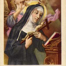 scheda 104