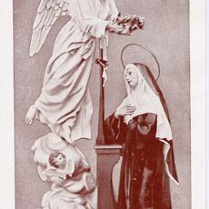scheda 111