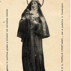 scheda 114