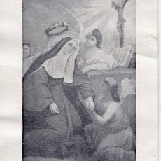 scheda 115