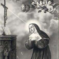 scheda 15