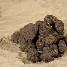 tartufi-5276-001