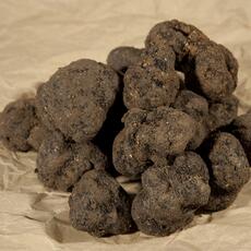 tartufi-5277-001