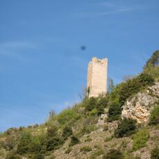 IMG_8269