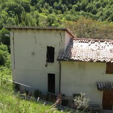 IMG_8390