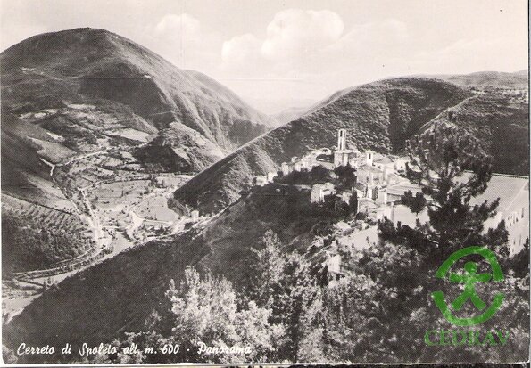 17)cerreto dall'alto