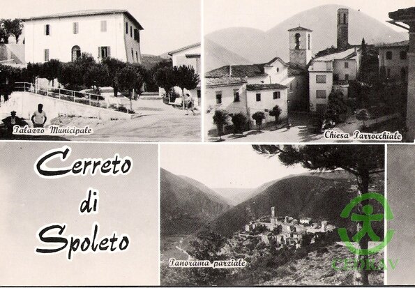 4)cartolina